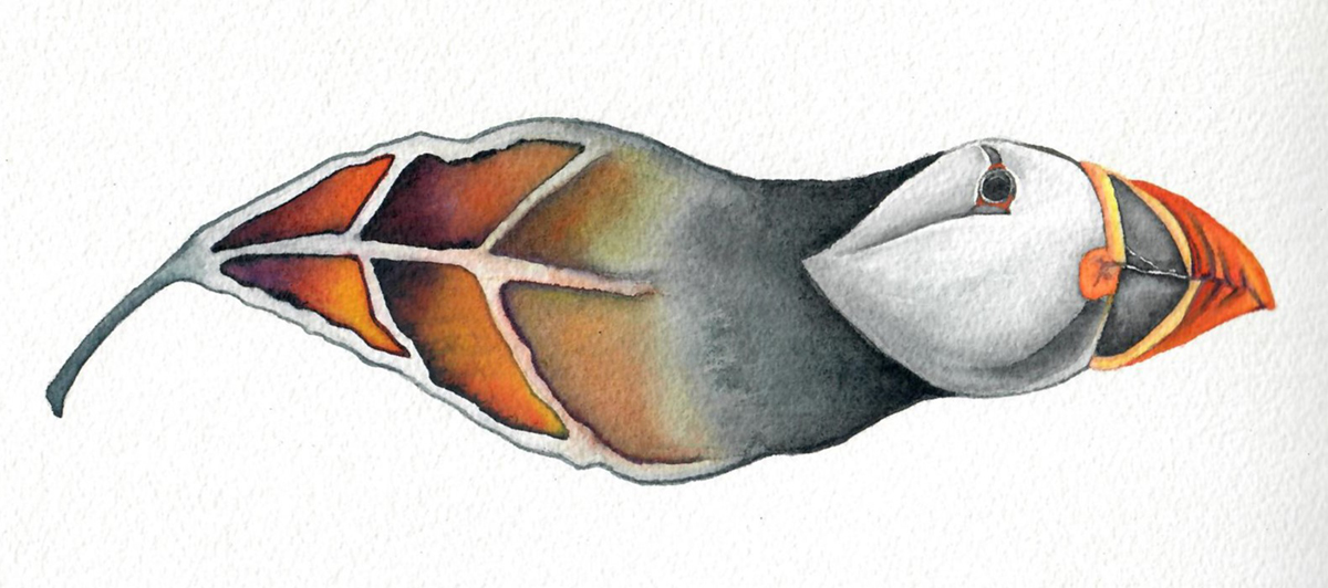 Puffin/leaf hybrid watercolor painting by Susan Andrews