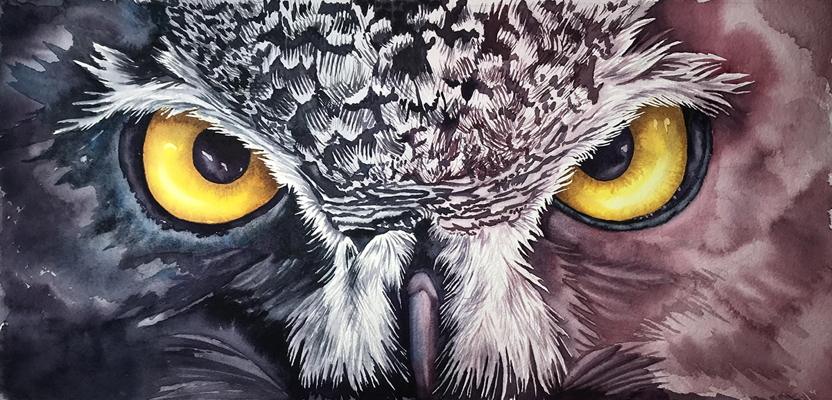 Close up of a set of owl eyes. Watercolor painting by Susan Andrews