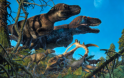 An illustration shows a pair of adult tyrannosaurs and their young living in the Arctic during the Cretaceous Period. Art by James Havens.