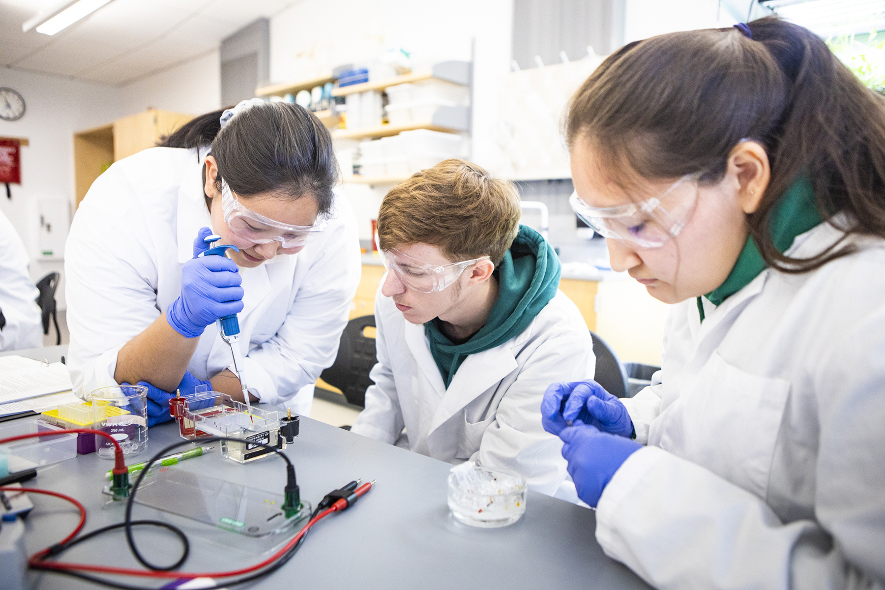 Cell biology lab (UAF)