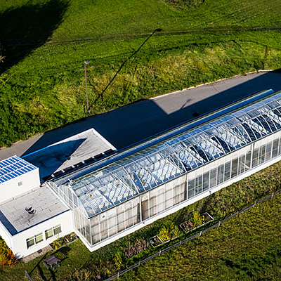 IAB greenhouse