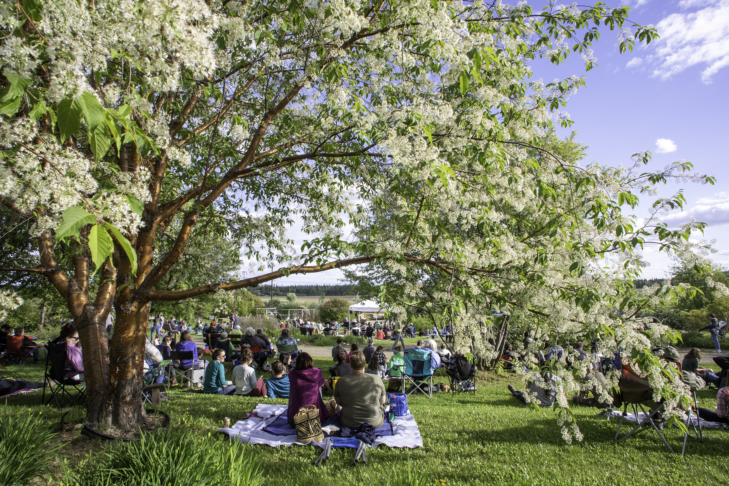 Audience seated on the grass and in lawn chairs for a summer concert at the Georgeson Botanical Garden