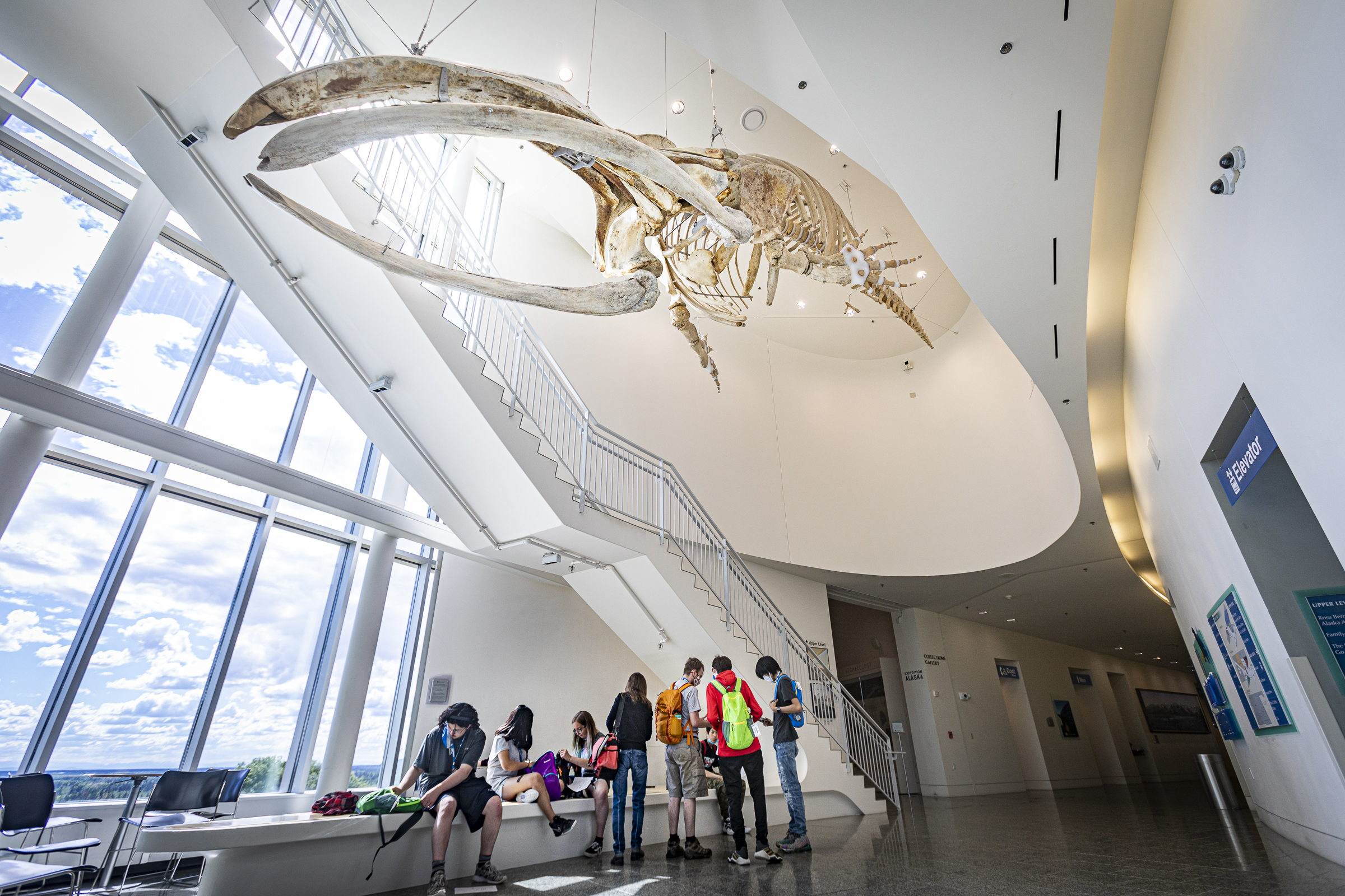 A group of visitors stand under a hanging fossil exhibit