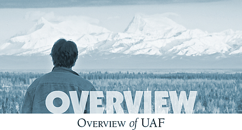 Overview of UAF