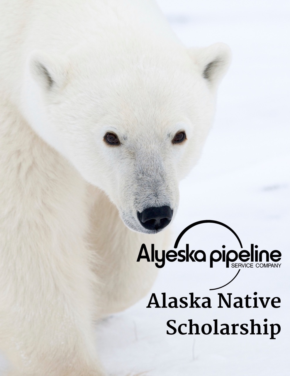 Alyeska Portfolio Cover 