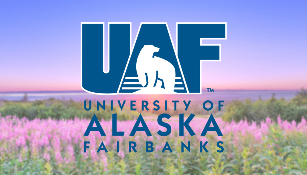 uaf logo with fireweed backdrop