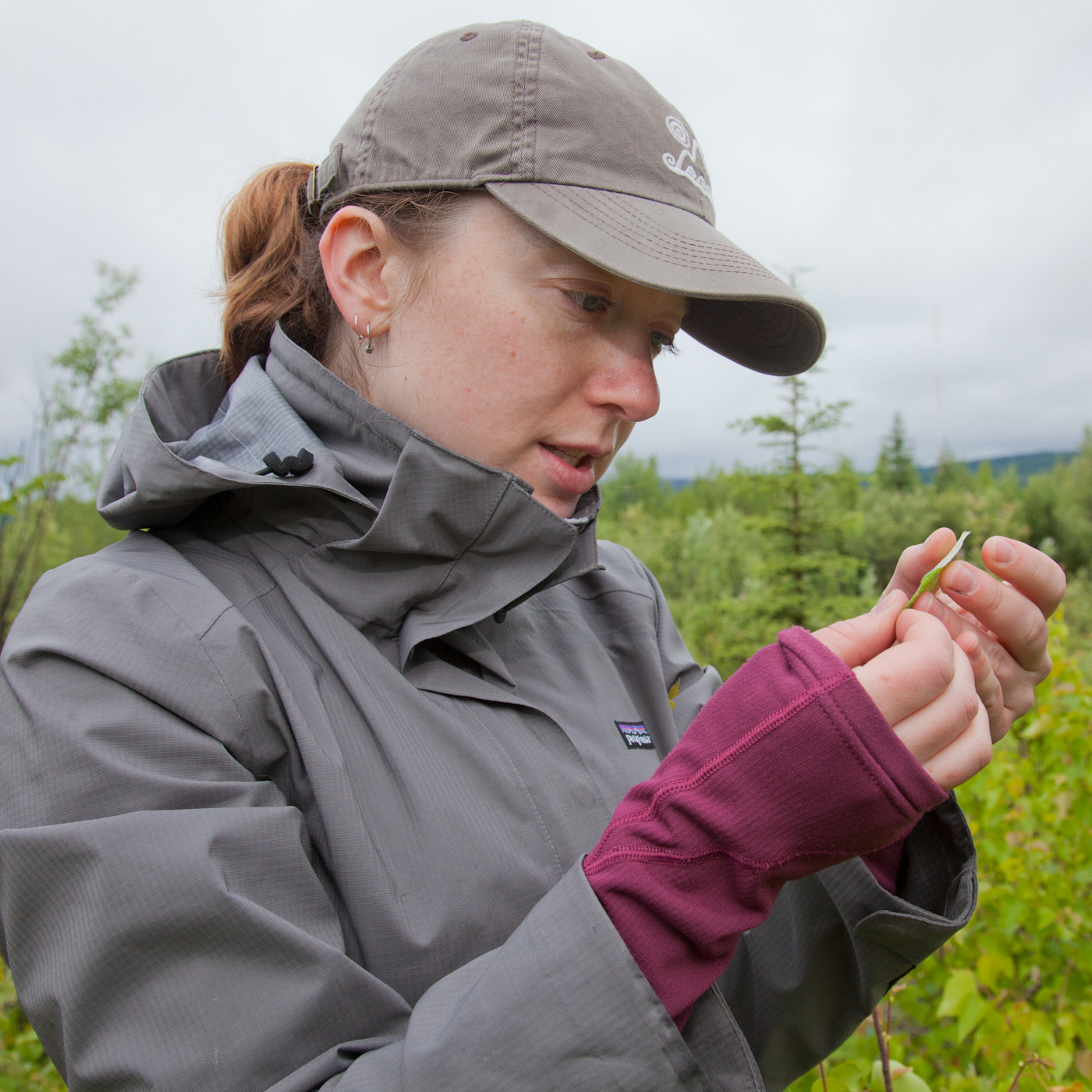 Female doing field work examining a leaf