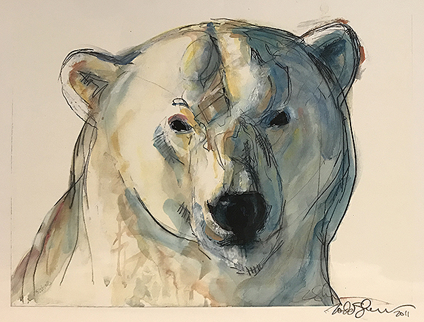Polar Bear Portrait by Todd Sherman