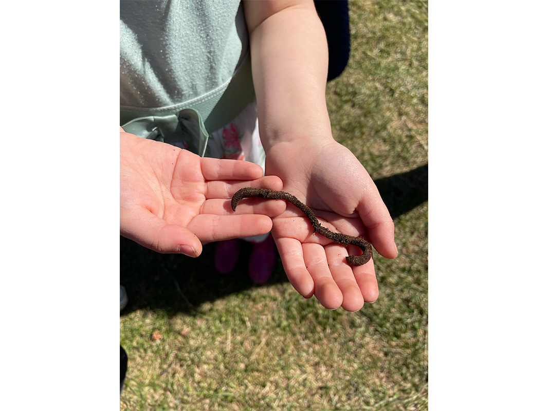 Child holding worm in both hands