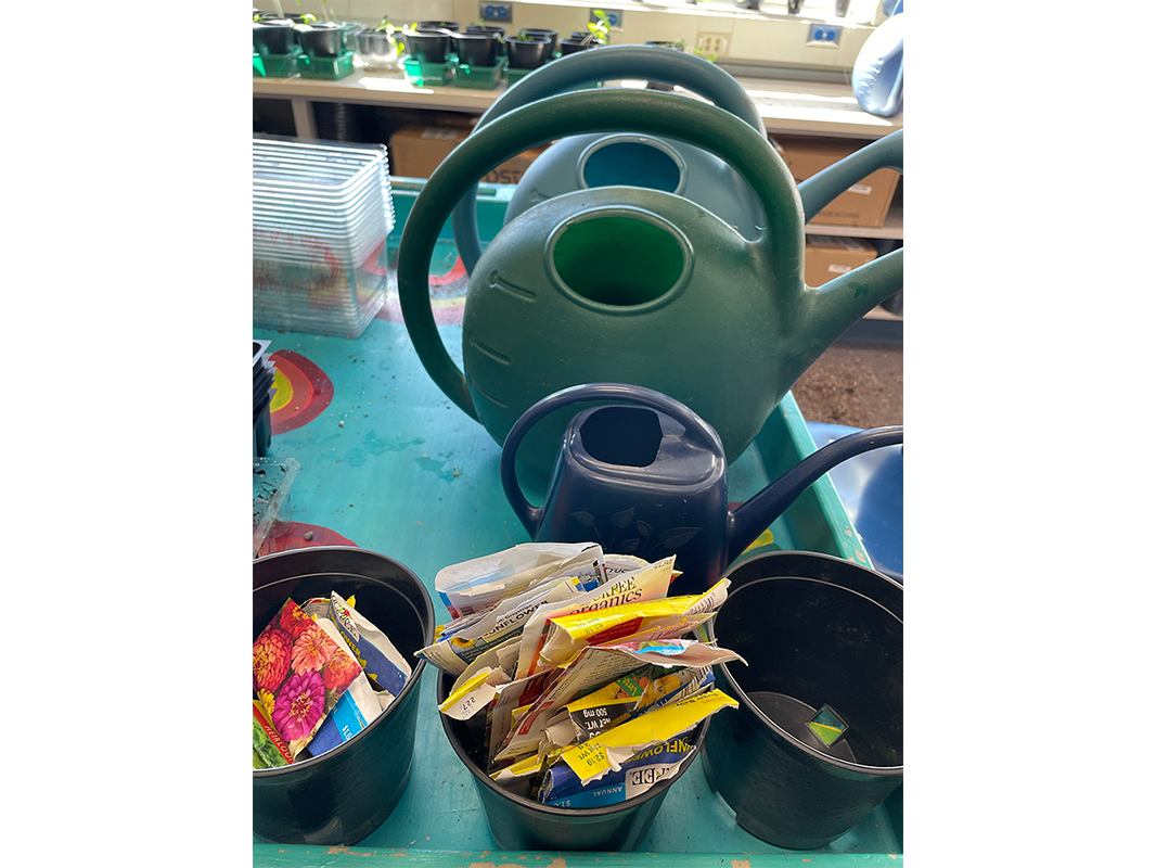 1. A table with watering cans and plastic cups.