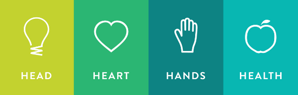 Head Heart Hands Health