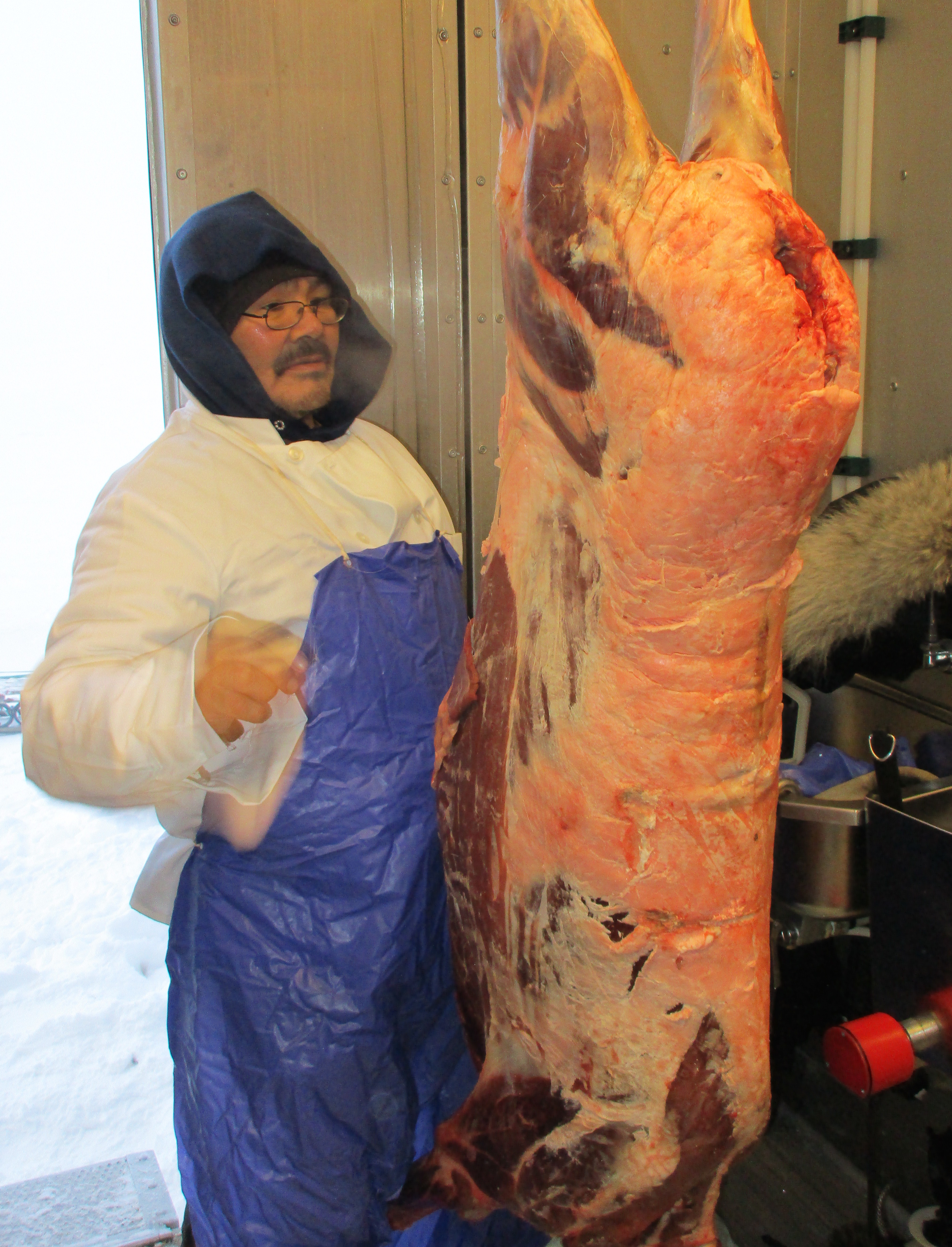 Richmond Toolie prepares to butcher a reindeer carcass in Savoonga. Photo by Erin Carr 