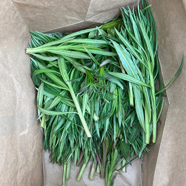 Weeds in a bag