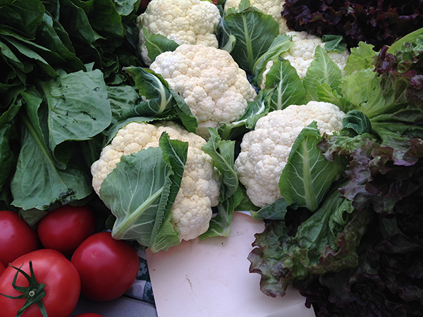 Vegetables: cauliflower and tomatoes