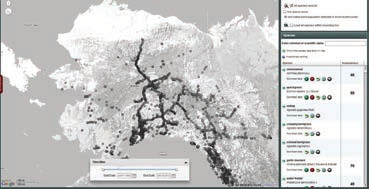 The AKEPIC data portal is a great resource for determining where weeds are