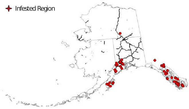 The state of Alaska with dots representing infestation