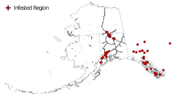 The state of Alaska with dots representing infestation