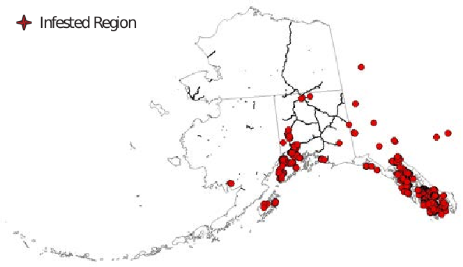 The state of Alaska with dots representing infestation