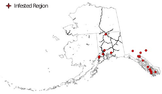 The state of Alaska with dots representing infestation