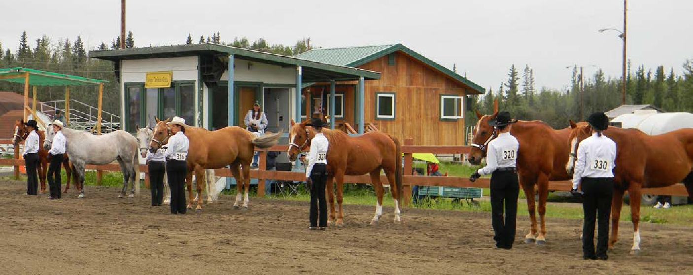 People standing next to horses in a lineup