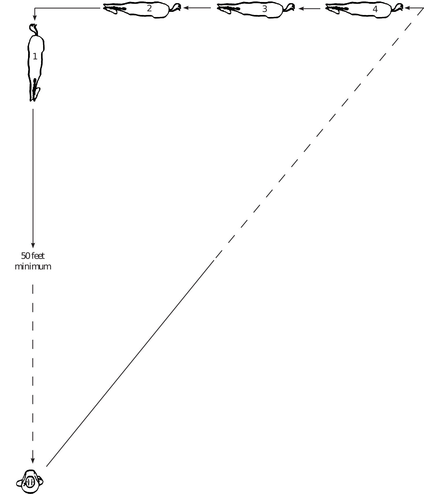 Horses moving along a right triangle