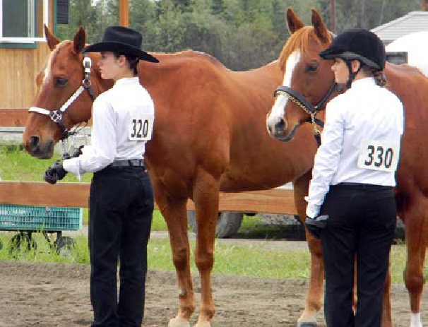 Two people standing next to horses