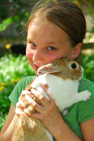 Someone holding a rabbit