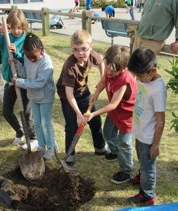 Students digging a hole