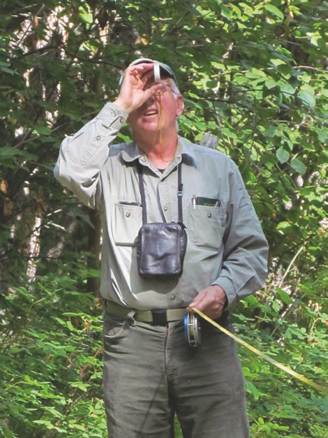 A forester measures tree height using a clinometer.