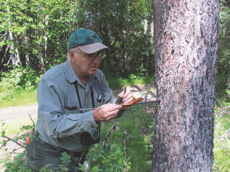 An increment borer is used to determine a tree’sage and growth rate.