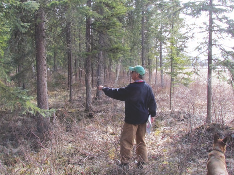 A landowner evaluates his woodlot to determineforest management goals.