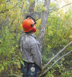 Look up the tree and at those near it for dead tops andhanging branches.