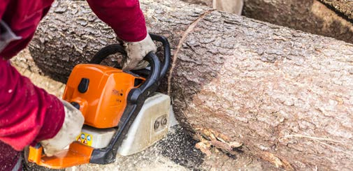 The occasional, nonprofessional sawyer will greatly benefit by learning the basics of tree felling.