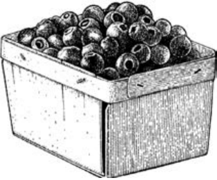Crate full of small round berries