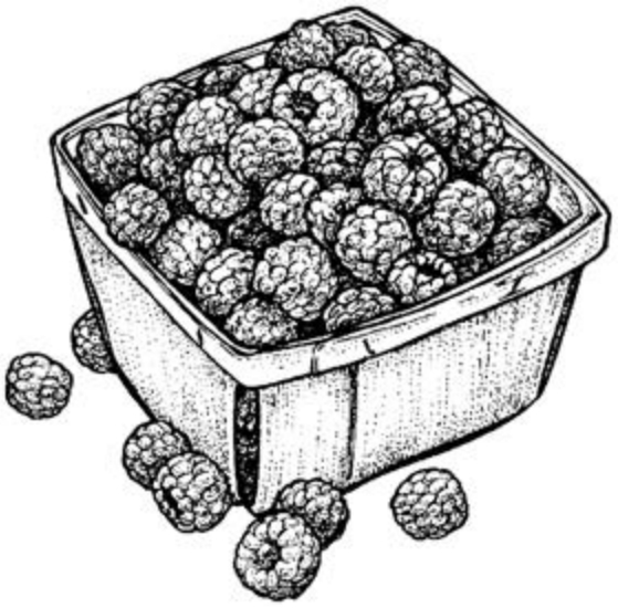 Box overflowing with small berries with an indent at the top