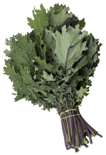 Image of kale