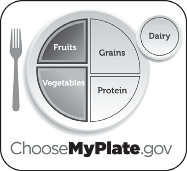 Labeled diagram with food types