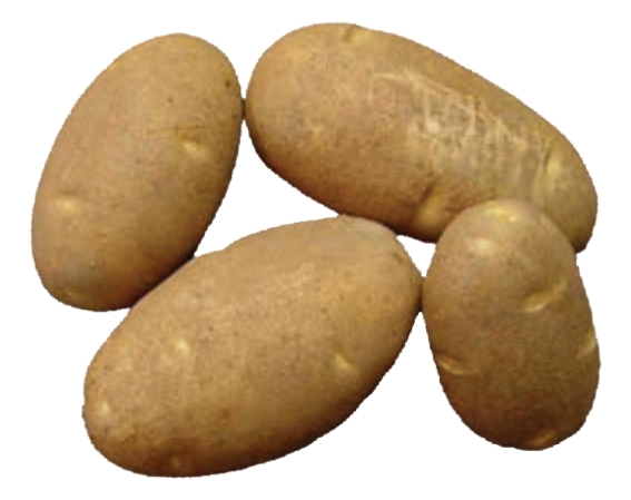 Four brown vegetables