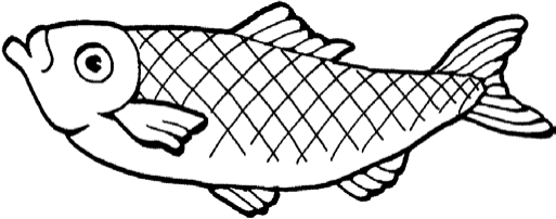 A fish swimming to the left