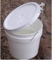 Open bucket for gathering sap