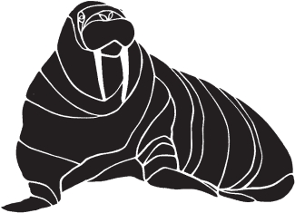 Black and white drawing of walrus