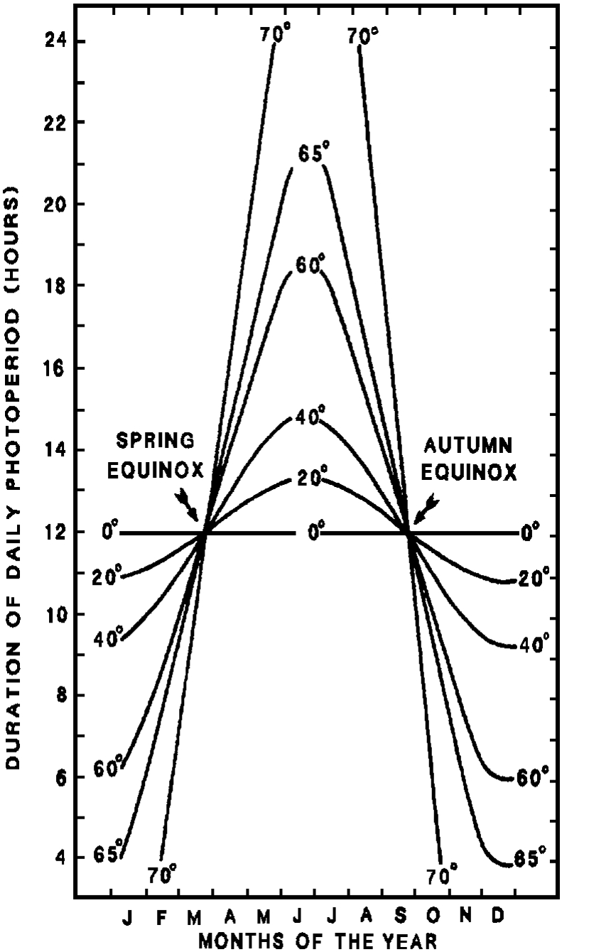 Annual pattern of daily hours of daylight (photo– period) at six different latitudes.