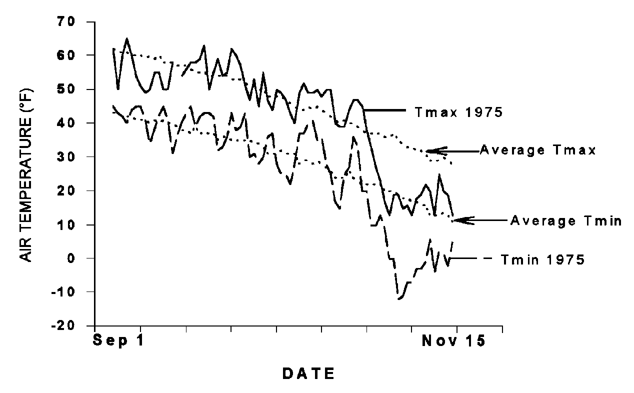 Temperature curves for autumn 1975 at the Matanuska Farm ontrasted with long-term averages