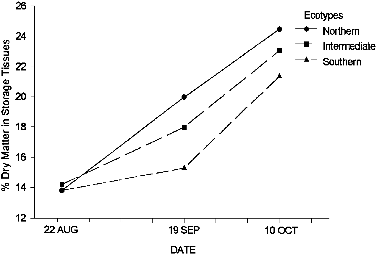 Effect of sampling date on dry matter content of storage organs.