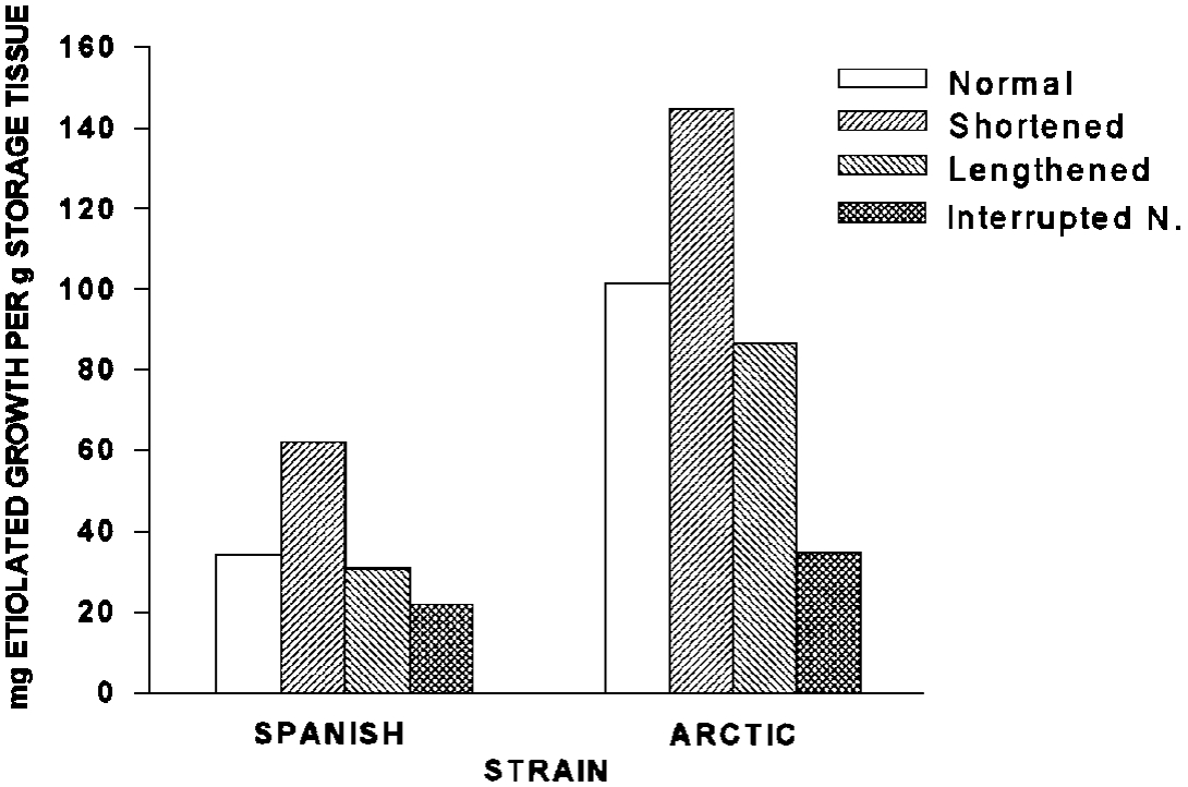 Effects of photoperiod on etiolated growth of two strains of sweetclover.