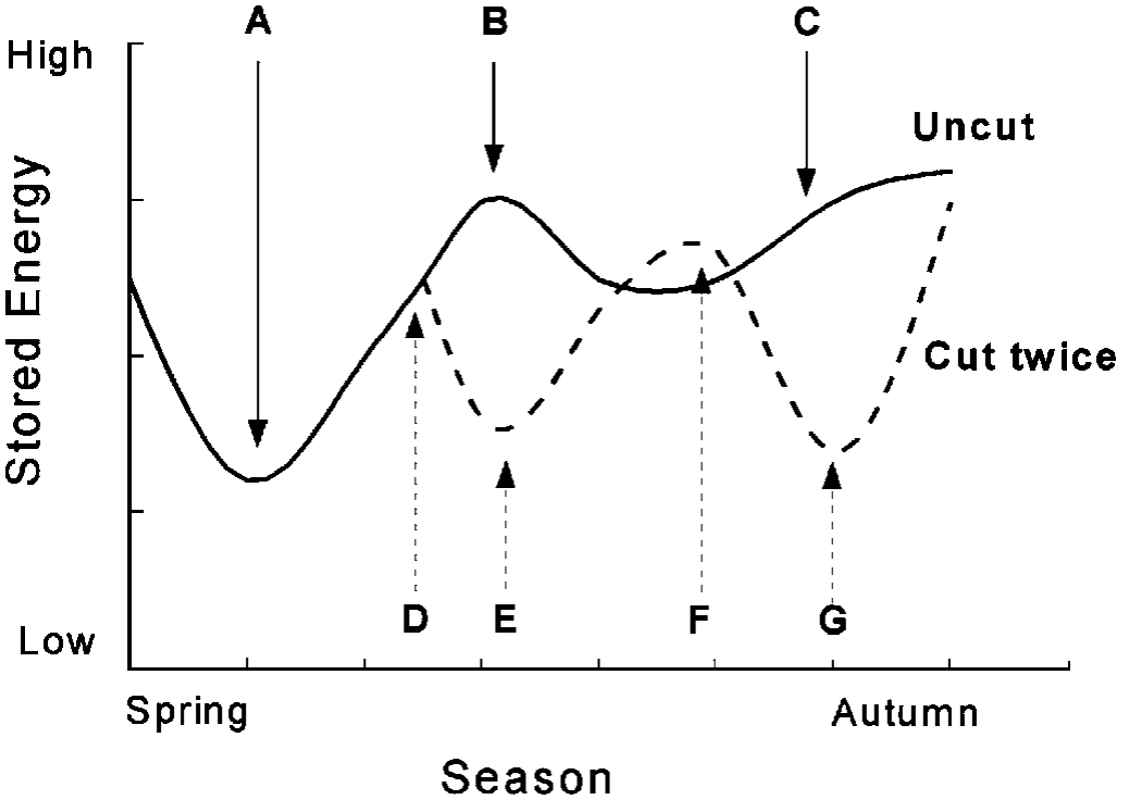 Effects of harvest management on reserve levels of perennial forage.