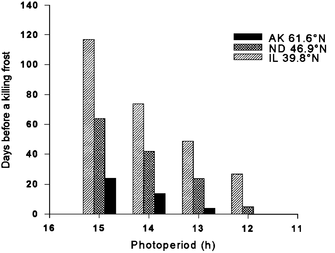 Average number of days before a killing frost following a specific photoperiod at three locations.