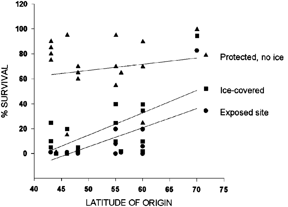 Effects of test conditions on winter survival of reed canarygrass strains from different latitudes.