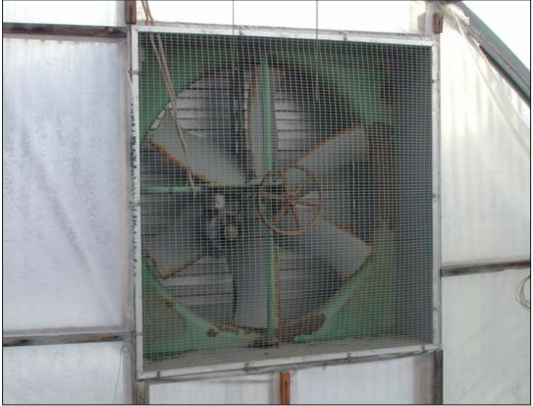 A multi-speed fan helps regulate greenhouse temperature throughout the season.