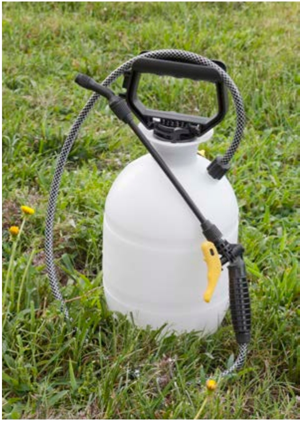 Jug connected to a hose